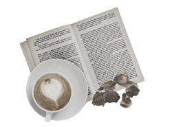 240821 공룡님 홈페이지 메뉴 로고 복사_250.png